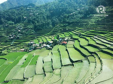  Ifugao Rice Terraces: A Story of Resilience and Community!